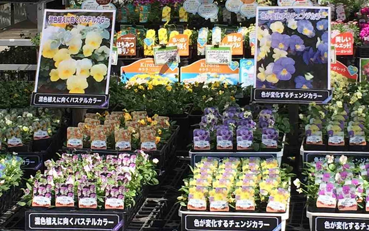 コアコンピタンスの確立